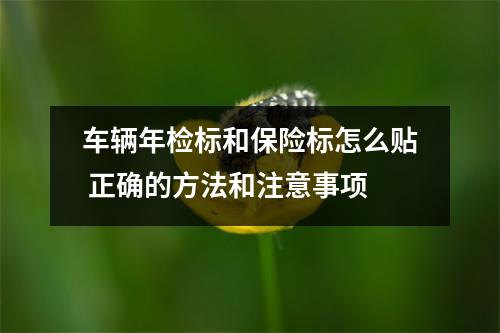 车辆年检标和保险标怎么贴 正确的方法和注意事项