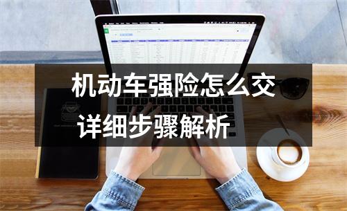 机动车强险怎么交 详细步骤解析