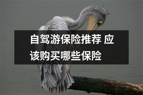 自驾游保险推荐 应该购买哪些保险