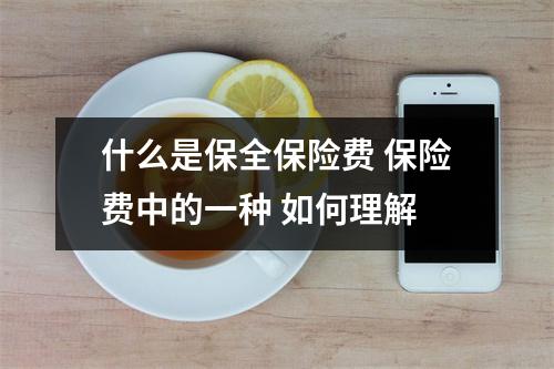 什么是保全保险费 保险费中的一种 如何理解