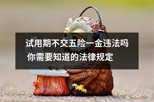 试用期不交五险一金违法吗 你需要知道的法律规定