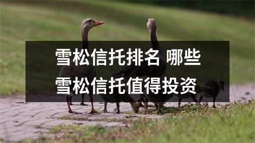 雪松信托排名 哪些雪松信托值得投资