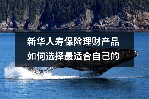 新华人寿保险理财产品 如何选择最适合自己的