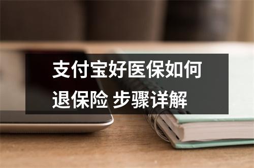 支付宝好医保如何退保险 步骤详解