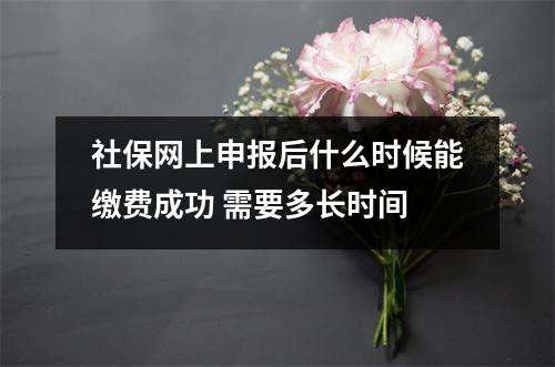 社保网上申报后什么时候能缴费成功 需要多长时间
