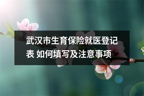 武汉市生育保险就医登记表 如何填写及注意事项