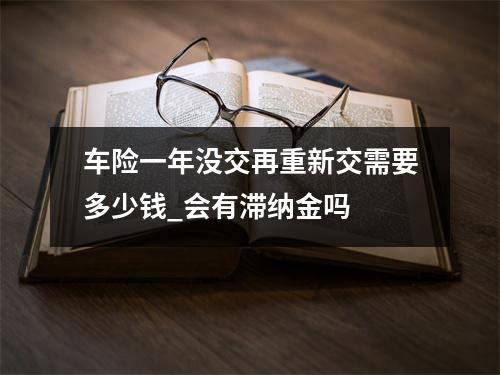 车险一年没交再重新交需要多少钱_会有滞纳金吗 