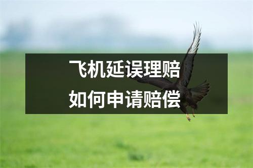 飞机延误理赔 如何申请赔偿