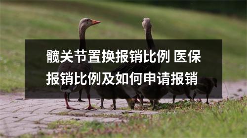 髋关节置换报销比例 医保报销比例及如何申请报销
