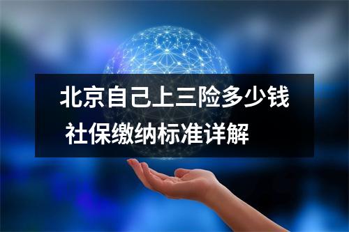 北京自己上三险多少钱 社保缴纳标准详解