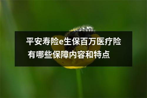 平安寿险e生保百万医疗险 有哪些保障内容和特点