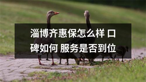 淄博齐惠保怎么样 口碑如何 服务是否到位