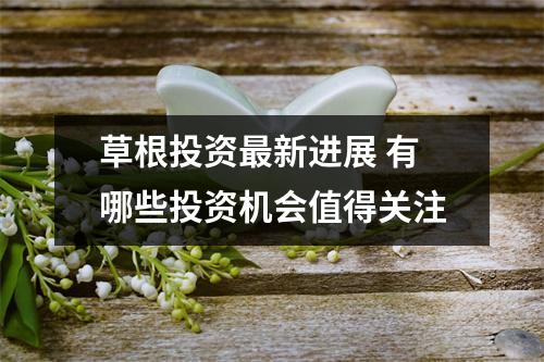 草根投资最新进展 有哪些投资机会值得关注