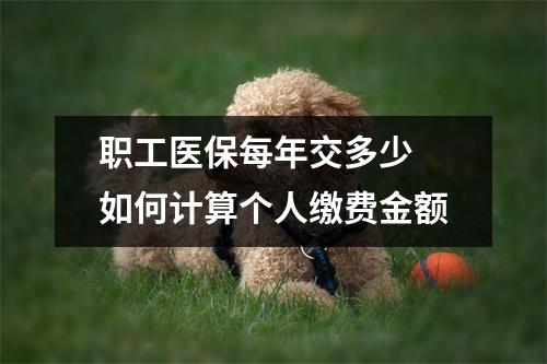 职工医保每年交多少 如何计算个人缴费金额