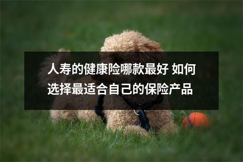 人寿的健康险哪款最好 如何选择最适合自己的保险产品