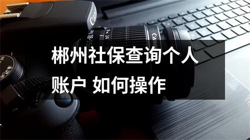 郴州社保查询个人账户 如何操作