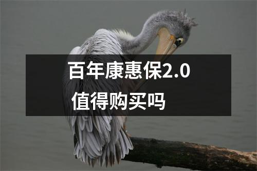 百年康惠保2.0 值得购买吗