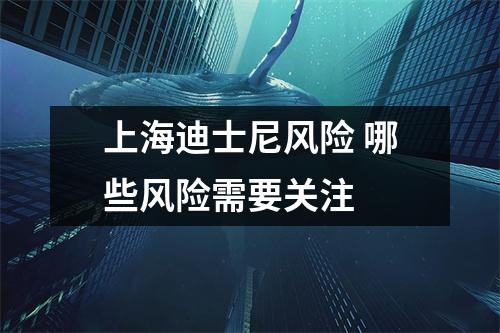 上海迪士尼风险 哪些风险需要关注