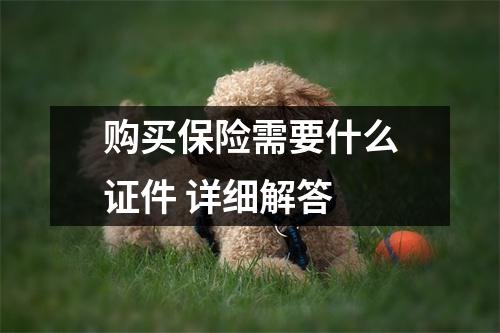 购买保险需要什么证件 详细解答