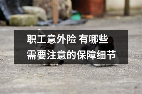 职工意外险 有哪些需要注意的保障细节