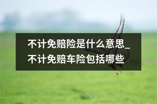 不计免赔险是什么意思_不计免赔车险包括哪些