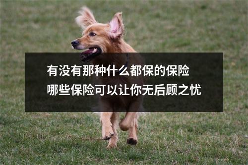 有没有那种什么都保的保险 哪些保险可以让你无后顾之忧