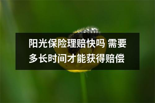 阳光保险理赔快吗 需要多长时间才能获得赔偿