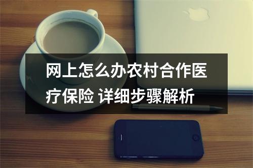 网上怎么办农村合作医疗保险 详细步骤解析