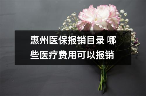 惠州医保报销目录 哪些医疗费用可以报销 