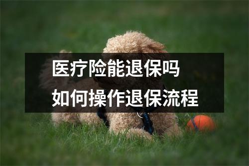 医疗险能退保吗 如何操作退保流程