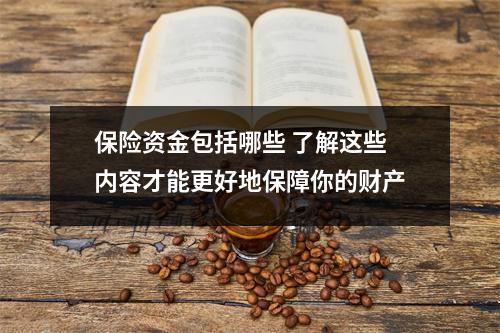 保险资金包括哪些 了解这些内容才能更好地保障你的财产