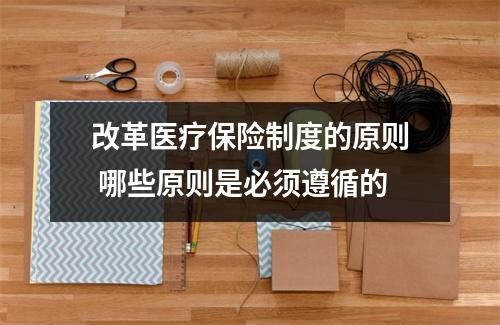 改革医疗保险制度的原则 哪些原则是必须遵循的