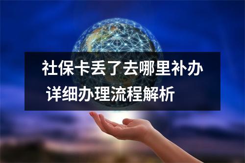 社保卡丢了去哪里补办 详细办理流程解析