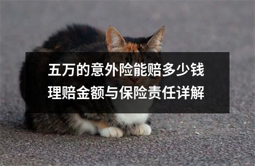 五万的意外险能赔多少钱 理赔金额与保险责任详解