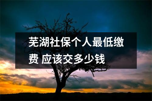 芜湖社保个人最低缴费 应该交多少钱