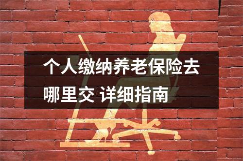 个人缴纳养老保险去哪里交 详细指南