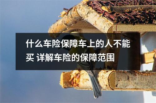 什么车险保障车上的人不能买 详解车险的保障范围
