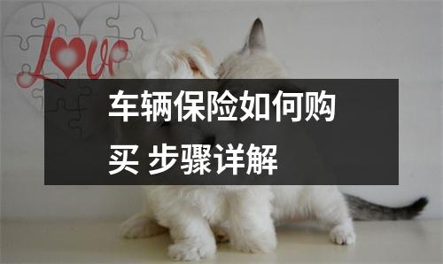 车辆保险如何购买 步骤详解