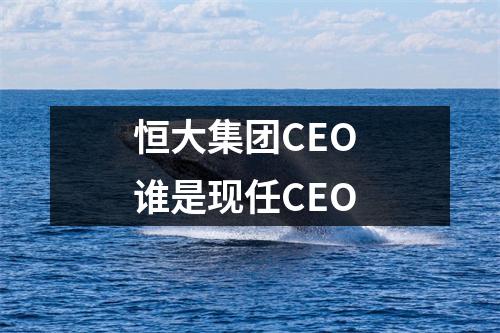 恒大集团CEO 谁是现任CEO 