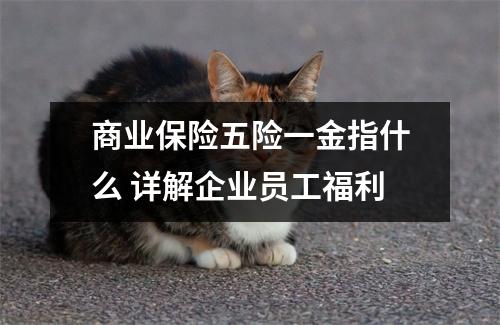 商业保险五险一金指什么 详解企业员工福利