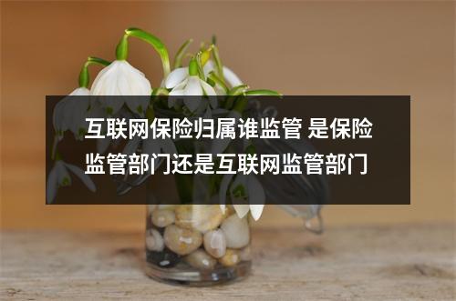 互联网保险归属谁监管 是保险监管部门还是互联网监管部门