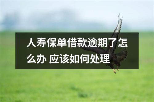 人寿保单借款逾期了怎么办 应该如何处理