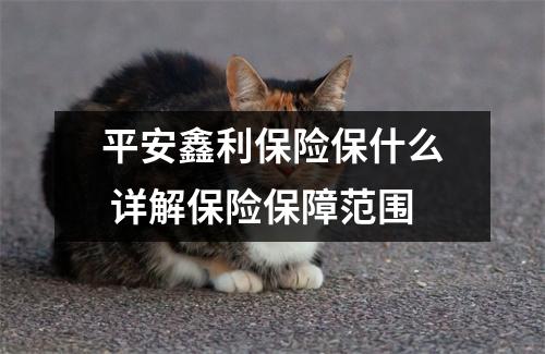 平安鑫利保险保什么 详解保险保障范围