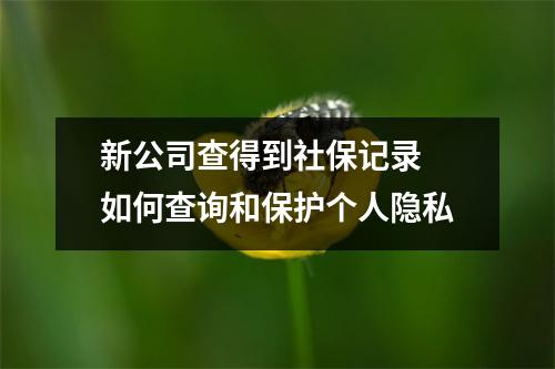 新公司查得到社保记录 如何查询和保护个人隐私