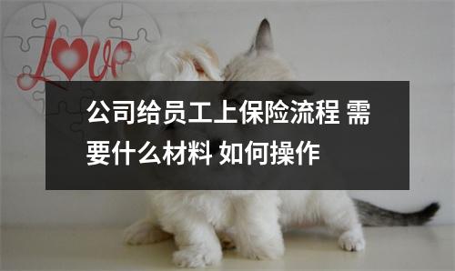 公司给员工上保险流程 需要什么材料 如何操作 