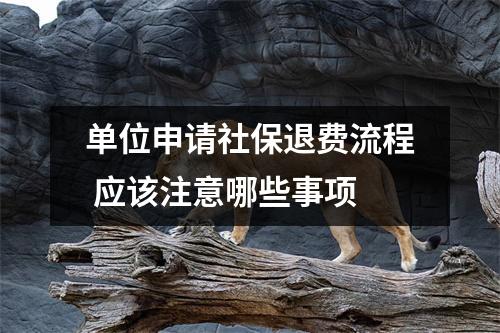 单位申请社保退费流程 应该注意哪些事项