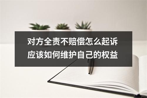 对方全责不赔偿怎么起诉 应该如何维护自己的权益