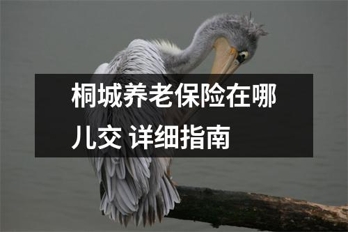 桐城养老保险在哪儿交 详细指南