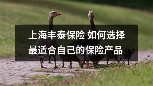上海丰泰保险 如何选择最适合自己的保险产品