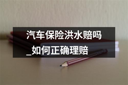 汽车保险洪水赔吗_如何正确理赔